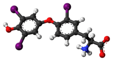 Ball-and-stick model of the reverse triiodothyronine molecule as a zwitterion