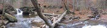 A panoramic view of a rocky creek with a cascade falls to the left, and a large tree which has fallen across the stream in the center. The cracked tree trunk is visible on the opposite bank, and a tributary with cascading falls enters the main stream to the right.