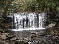  A front-on view of a wide falls. The stream falls as a curtain of water into a plunge pool. It is autumn, with leaves in various stages of color on the trees; some are green and others are orange or yellow.