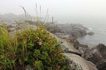 Roosevelt-Campobello-International-Park-Coastline.jpg