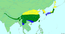 The year-round range extends along the southern Himalayas into southern China, as well as Taiwan, southwestern Korea, and central Japan. The summer range is further north in China, Korea, and Japan, and also includes Sakhalin. The winter range extends further south in China, Southeast Asia, and Japan.