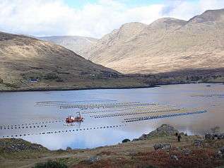  A salmon farm in Ireland.