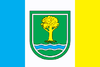 Flag of Savranskyi Raion