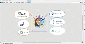 Example window for iMindQ application