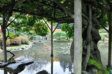 Seattle Japanese garden 2011 03.jpg