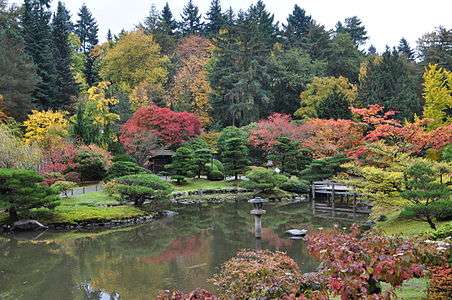 Seattle Japanese garden 2011 06.jpg