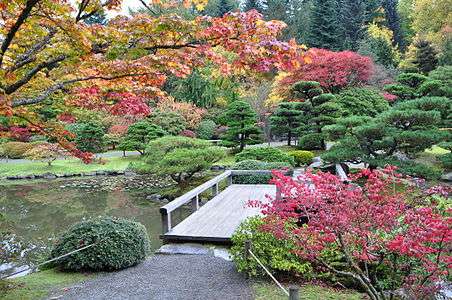 Seattle Japanese garden 2011 07.jpg