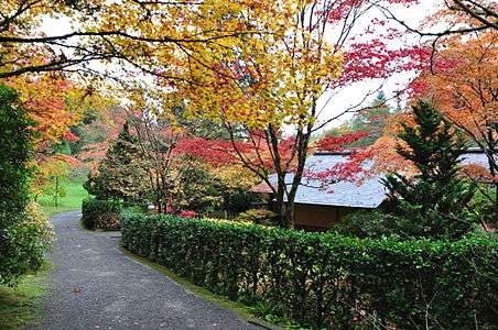 Seattle Japanese garden 2011 09.jpg