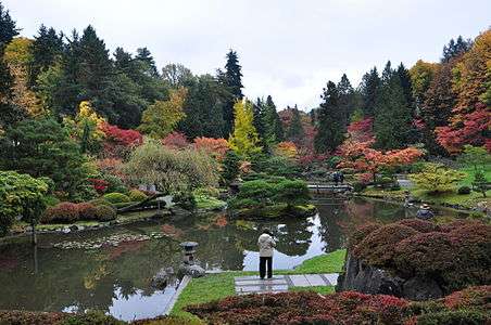 Seattle Japanese garden 2011 16.jpg