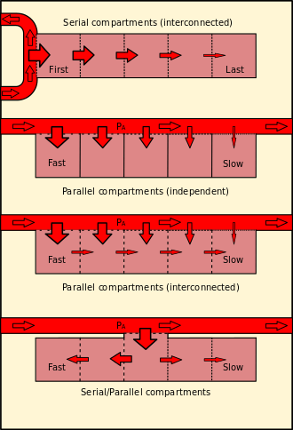 Diagram comparing serial (interconnected), parallel (independent), parallel (interconnected) and combined series-parallel tissue compartment models