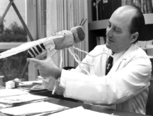  Seymour Benzer in his office at Caltech in 1974 with a big model of Drosophila