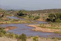 Shaba Kenya river.jpg