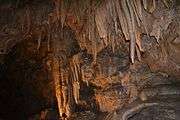 Shasta Caverns2.JPG