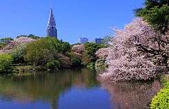 Shinjuku Gyoen National Garden