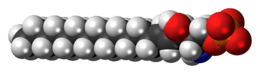 Space-filling model of the sphingosine-1-phosphate anion