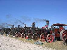  photograph of a row of traction engines at the Great Dorset Steam Fair