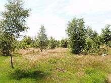 Stoke Common heathland