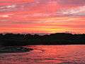 Sunset on Patchogue Bay, Long Island.jpg