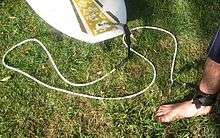 Photo of plastic cord attached to surfboard and velcroed around surfer's ankle