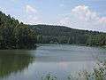 Talsperre im Harz3.JPG