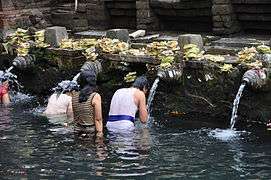 Tirtha Empul Temple - Purification.jpg