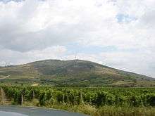 Colour photograph showing the terrain of Tokay.  The vineyard is backed by a mountain, an ancient extinct volcano, giving a terrain of high quality for growing grapes.