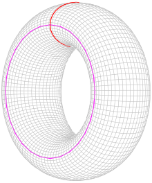 A donut shape with two circles drawn on its surface, one going around the hole and the other going through it.