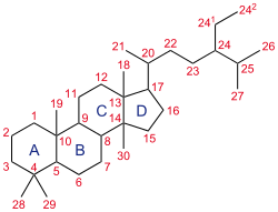 Complex chemical diagram