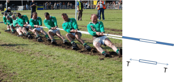 9 men in the Irish champion tug of war team pull on a rope. The rope in the photo extends into a cartoon showing adjcant segments of the rope. One segment is duplicated in a free body digrapm showing two forces of magnitude T pulling the segment in opposite directions.