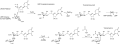 Tunicamycin scheme 3.png