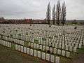 Tyne Cot Cemetery gravestones 2.jpg