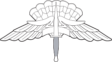 Army & Air Force HALO/HAHO Badge