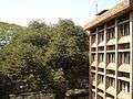 Udayan High School View 2.jpg