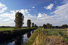 A straight water filled channel surrounded by an avenue of trees and grassy banks.