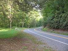 A two-lane road curves through a green forest, with grass at left