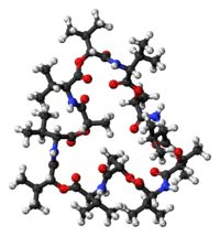 Ball-and-stick model of the valinomycin molecule