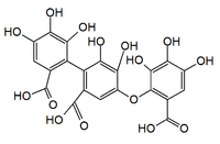 Chemical structure of valoneic acid