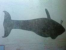 Killer whale silhouette, with two projections above shown above the blowhole.