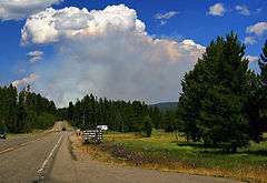 A paved road with trees and grasses on the side with a large, white and dark gray smoke cloud rising in the distance.