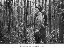 Woodcock on the Trap Line