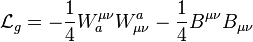 \mathcal{L}_g = -\frac{1}{4}W_{a}^{\mu\nu}W_{\mu\nu}^a - \frac{1}{4}B^{\mu\nu}B_{\mu\nu}