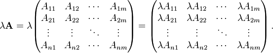  \lambda \mathbf{A} = \lambda \begin{pmatrix}
A_{11} & A_{12} & \cdots & A_{1m} \\
A_{21} & A_{22} & \cdots & A_{2m} \\
\vdots & \vdots & \ddots & \vdots \\
A_{n1} & A_{n2} & \cdots & A_{nm} \\
\end{pmatrix} = \begin{pmatrix}
\lambda A_{11} & \lambda A_{12} & \cdots & \lambda A_{1m} \\
\lambda A_{21} & \lambda A_{22} & \cdots & \lambda A_{2m} \\
\vdots & \vdots & \ddots & \vdots \\
\lambda A_{n1} & \lambda A_{n2} & \cdots & \lambda A_{nm} \\
\end{pmatrix}\,.