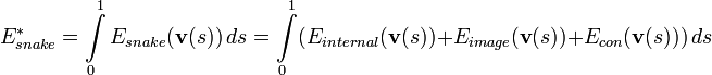  E_{snake}^*=\int\limits_0^1E_{snake}(\mathbf{v}(s))\,ds=\int\limits_0^1 ( E_{internal}(\mathbf{v}(s))+E_{image}(\mathbf{v}(s))+E_{con}(\mathbf{v}(s)) )\,ds