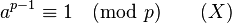 a^{p-1} \equiv 1 \pmod p \quad \quad (X)