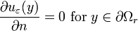 \frac{\partial u_\varepsilon (y)}{\partial n} = 0\text{ for }y \in \partial\Omega_r