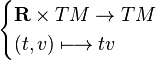 \begin{cases}
\mathbf{R} \times TM \to TM \\
(t,v) \longmapsto tv
\end{cases}