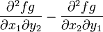 \frac{\partial^2 fg}{\partial x_1 \partial y_2} - \frac{\partial^2 fg}{\partial x_2 \partial y_1}