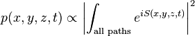 p(x,y,z,t) \propto \left\vert \int_{\text{all paths}} e^{i S(x,y,z,t)} \right\vert ^2 