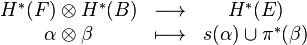 \begin{array}{ccc}
H^* (F)\otimes H^*(B) & \longrightarrow & H^* (E) \\
\alpha \otimes \beta & \longmapsto & s (\alpha)\cup \pi^*(\beta) 
\end{array}