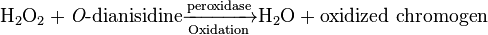 \mathrm{H_{2}O_2} + \textit{O}\text{-dianisidine}\xrightarrow[\mathrm{Oxidation}] {\mathrm{peroxidase}} \mathrm{H_2O} + \mathrm{oxidized\ chromogen}